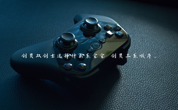 剑灵双剑士选择什么系宝宝 剑灵三系顺序。 剑灵双剑士选择什么系宝宝 剑灵三系顺序。
