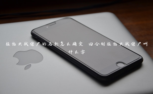 植物大战僵尸的名称怎么确定 回合制植物大战僵尸叫什么字 植物大战僵尸的名称怎么确定 回合制植物大战僵尸叫什么字