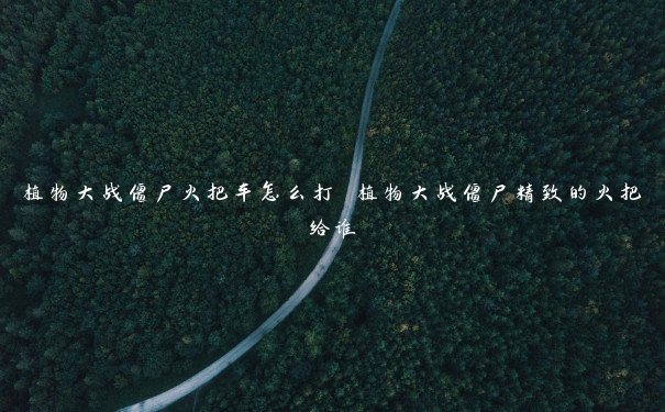 植物大战僵尸火把车怎么打 植物大战僵尸精致的火把给谁