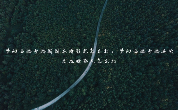 梦幻西游手游新副本暗影龙怎么打,梦幻西游手游迷失之地暗影龙怎么打 梦幻西游手游新副本暗影龙怎么打,梦幻西游手游迷失之地暗影龙怎么打