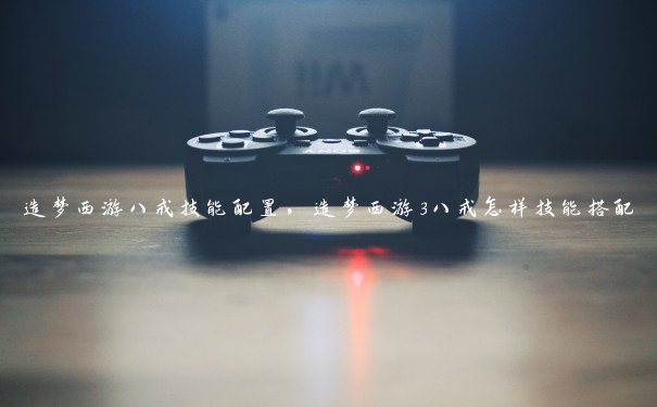 造梦西游八戒技能配置,造梦西游3八戒怎样技能搭配 造梦西游八戒技能配置,造梦西游3八戒怎样技能搭配