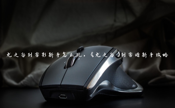 龙之谷刺客影新手怎么玩,《龙之谷》刺客暗新手攻略 龙之谷刺客影新手怎么玩,《龙之谷》刺客暗新手攻略