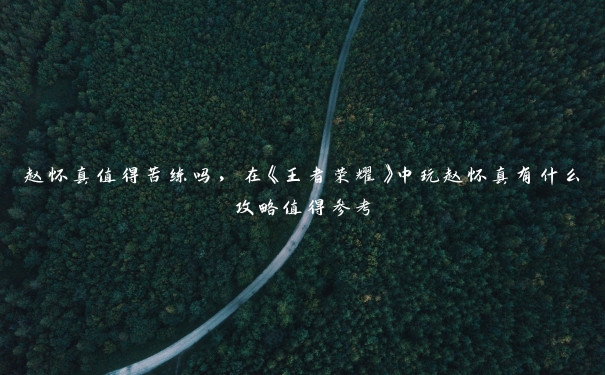 赵怀真值得苦练吗,在《王者荣耀》中玩赵怀真有什么攻略值得参考 赵怀真值得苦练吗,在《王者荣耀》中玩赵怀真有什么攻略值得参考