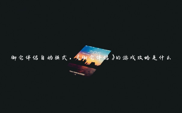 御宅伴侣自动模式,《御宅伴侣》的游戏攻略是什么 御宅伴侣自动模式,《御宅伴侣》的游戏攻略是什么