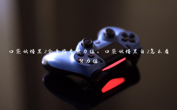 口袋妖怪黑2金手指看努力值，口袋妖怪黑白2怎么看努力值