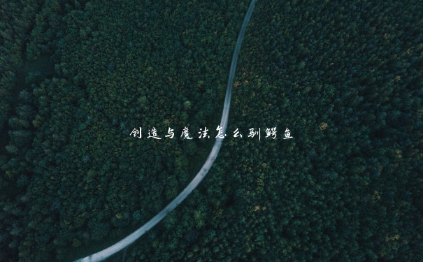 创造与魔法怎么驯鳄鱼 创造与魔法怎么驯鳄鱼