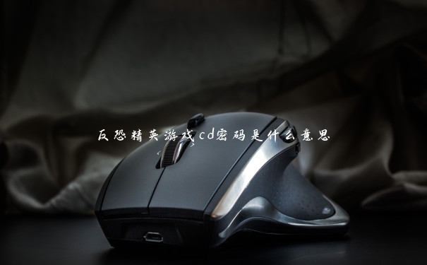 反恐精英游戏cd密码是什么意思