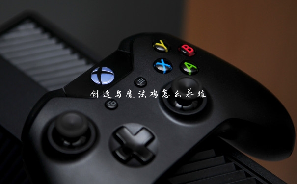 创造与魔法鸡怎么养殖