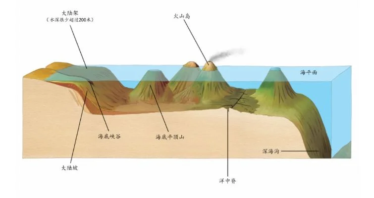 海底地形有哪些　海底地形有哪些类型