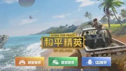 和平精英电脑版下载与体验指南