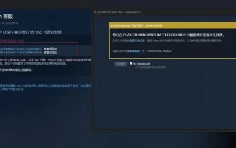 《绝地求生》外挂防治攻略：举报机制、技术反作弊、信用体系等多重手段打造公平游戏