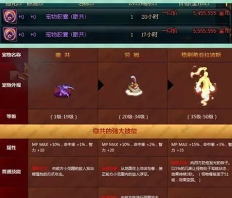 DNF宠物选择指南：性价比与收藏之选