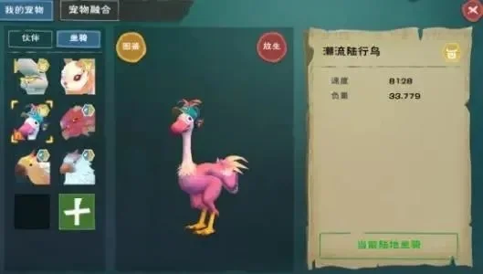 创造与魔法：鸵鸟驯服与繁殖全攻略