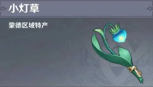 原神小灯草快速获取指南：蒙德地区采集点及购买攻略