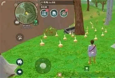 创造与魔法番茄采集攻略：七里香草原与平原丘陵技巧解析