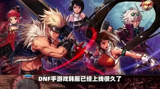 DNF手游汉化小助手-DNF手游汉化助手
