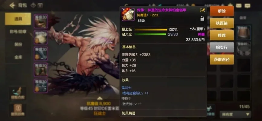 dnf手游ss 防具-dnf手游顶级装备解析